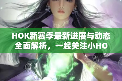 HOK新赛季最新进展与动态全面解析，一起关注小HO的精彩表现