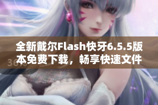 全新戴尔Flash快牙6.5.5版本免费下载，畅享快速文件传输体验