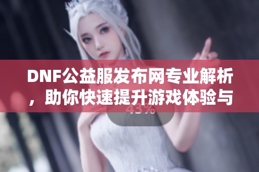 DNF公益服发布网专业解析，助你快速提升游戏体验与实力