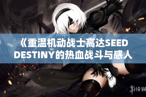 《重温机动战士高达SEED DESTINY的热血战斗与感人故事》