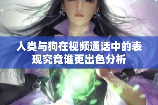 人类与狗在视频通话中的表现究竟谁更出色分析