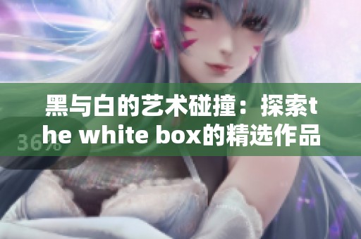 黑与白的艺术碰撞：探索the white box的精选作品
