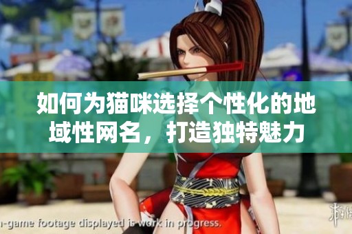 如何为猫咪选择个性化的地域性网名，打造独特魅力