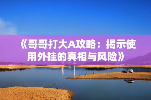 《哥哥打大A攻略：揭示使用外挂的真相与风险》