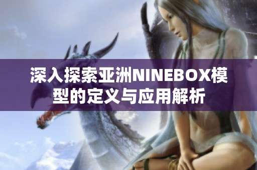 深入探索亚洲NINEBOX模型的定义与应用解析