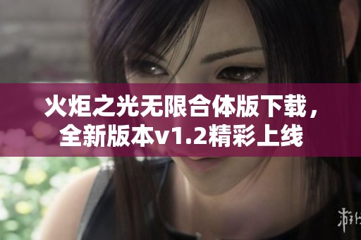 火炬之光无限合体版下载，全新版本v1.2精彩上线