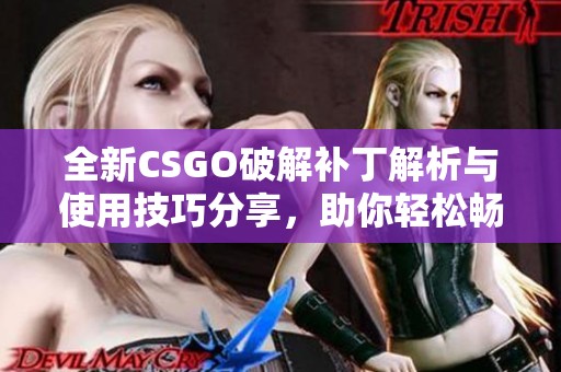 全新CSGO破解补丁解析与使用技巧分享，助你轻松畅玩游戏