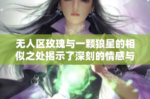 无人区玫瑰与一颗狼星的相似之处揭示了深刻的情感与思考