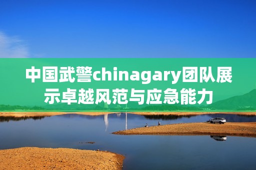 中国武警chinagary团队展示卓越风范与应急能力