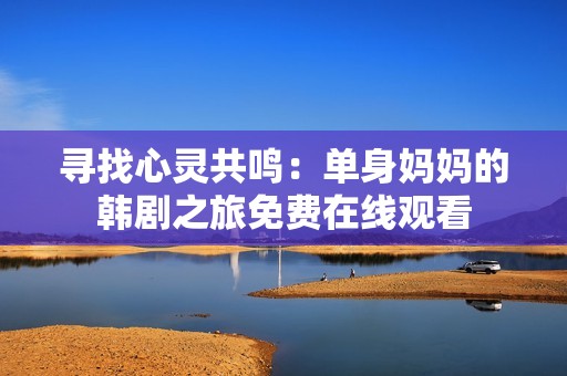 寻找心灵共鸣：单身妈妈的韩剧之旅免费在线观看