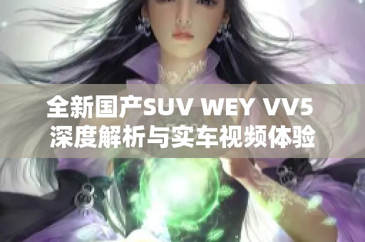 全新国产SUV WEY VV5 深度解析与实车视频体验