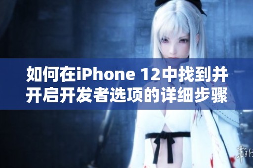 如何在iPhone 12中找到并开启开发者选项的详细步骤