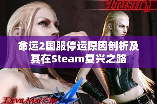 命运2国服停运原因剖析及其在Steam复兴之路