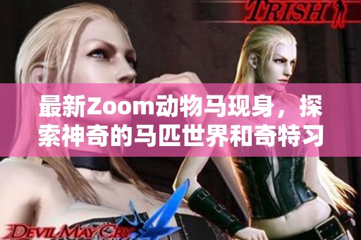 最新Zoom动物马现身，探索神奇的马匹世界和奇特习性