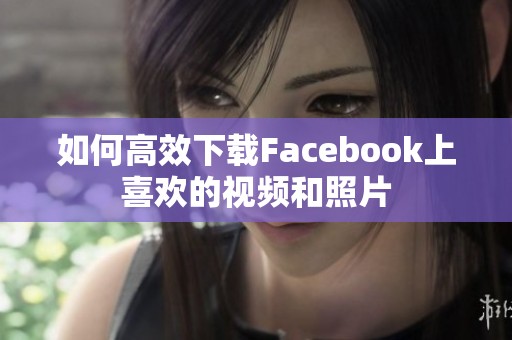 如何高效下载Facebook上喜欢的视频和照片