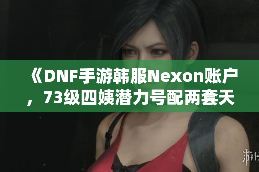 《DNF手游韩服Nexon账户，73级四姨潜力号配两套天空装备》