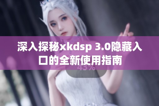 深入探秘xkdsp 3.0隐藏入口的全新使用指南