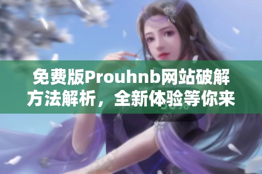 免费版Prouhnb网站破解方法解析，全新体验等你来试