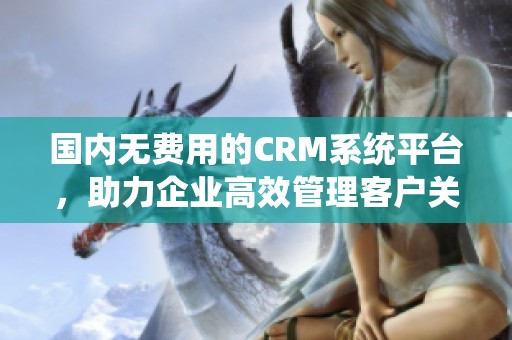 国内无费用的CRM系统平台，助力企业高效管理客户关系