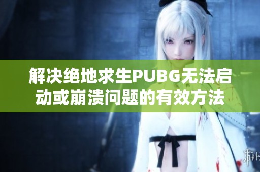 解决绝地求生PUBG无法启动或崩溃问题的有效方法