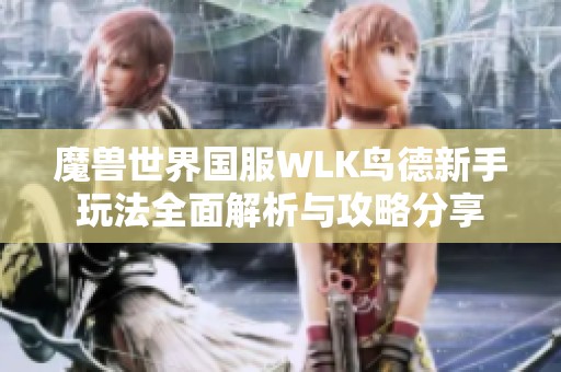 魔兽世界国服WLK鸟德新手玩法全面解析与攻略分享