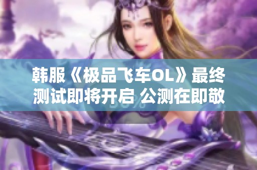 韩服《极品飞车OL》最终测试即将开启 公测在即敬请期待