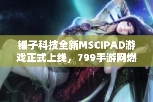 锤子科技全新MSCIPAD游戏正式上线，799手游网燃情推荐