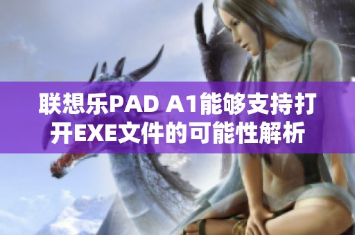 联想乐PAD A1能够支持打开EXE文件的可能性解析