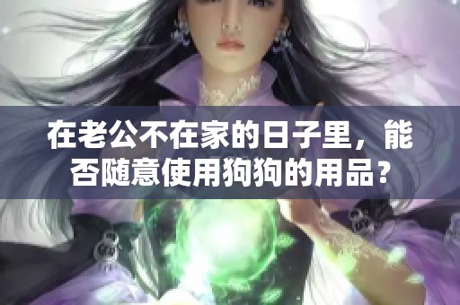 在老公不在家的日子里，能否随意使用狗狗的用品？