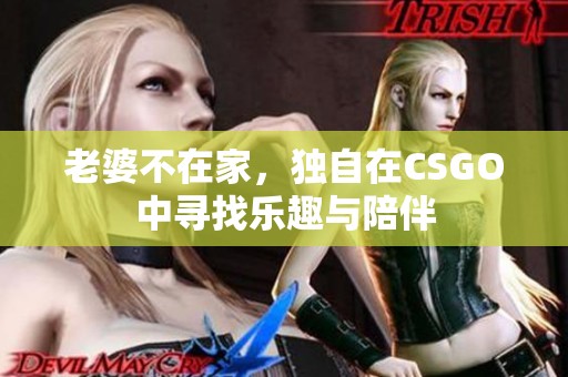 老婆不在家，独自在CSGO中寻找乐趣与陪伴