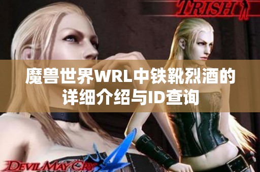 魔兽世界WRL中铁靴烈酒的详细介绍与ID查询