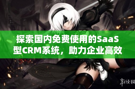 探索国内免费使用的SaaS型CRM系统，助力企业高效管理客户关系