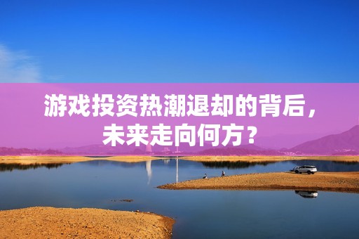 游戏投资热潮退却的背后，未来走向何方？