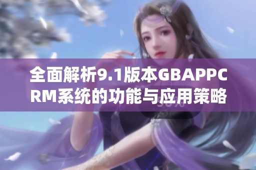 全面解析9.1版本GBAPPCRM系统的功能与应用策略