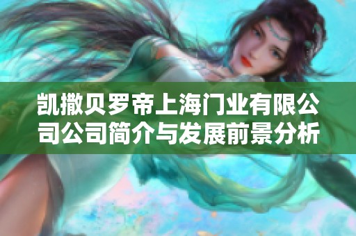 凯撒贝罗帝上海门业有限公司公司简介与发展前景分析