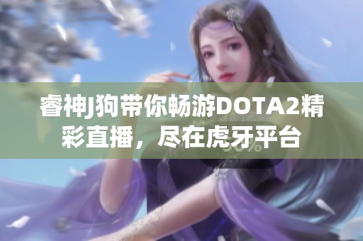 睿神J狗带你畅游DOTA2精彩直播，尽在虎牙平台