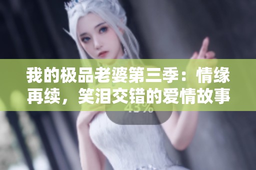 我的极品老婆第三季：情缘再续，笑泪交错的爱情故事