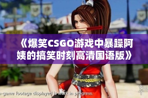 《爆笑CSGO游戏中暴躁阿姨的搞笑时刻高清国语版》