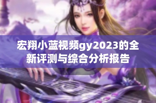 宏翔小蓝视频gy2023的全新评测与综合分析报告