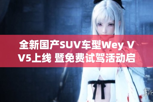 全新国产SUV车型Wey VV5上线 暨免费试驾活动启动