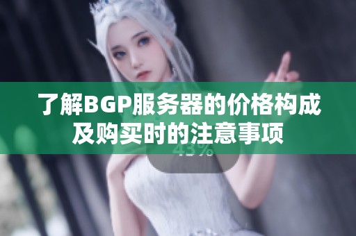 了解BGP服务器的价格构成及购买时的注意事项