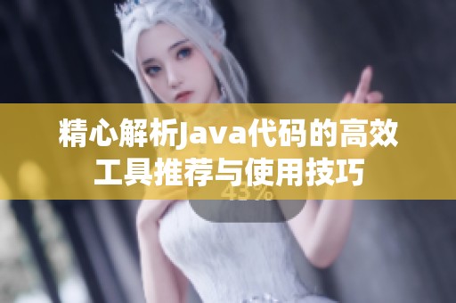 精心解析Java代码的高效工具推荐与使用技巧
