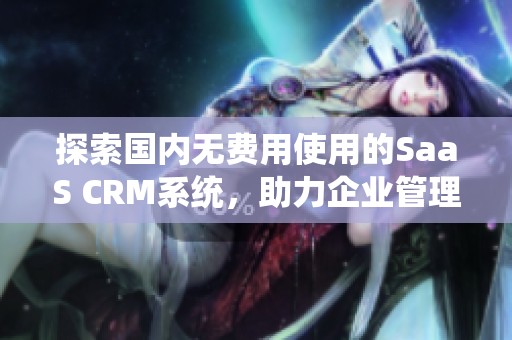 探索国内无费用使用的SaaS CRM系统，助力企业管理效率提升