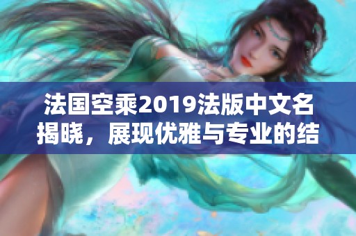 法国空乘2019法版中文名揭晓，展现优雅与专业的结合