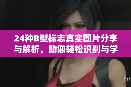 24种B型标志真实图片分享与解析，助您轻松识别与学习