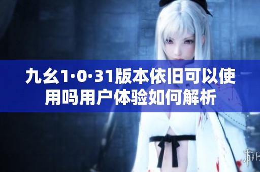 九幺1·0·31版本依旧可以使用吗用户体验如何解析