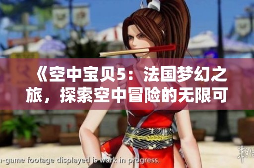 《空中宝贝5：法国梦幻之旅，探索空中冒险的无限可能》