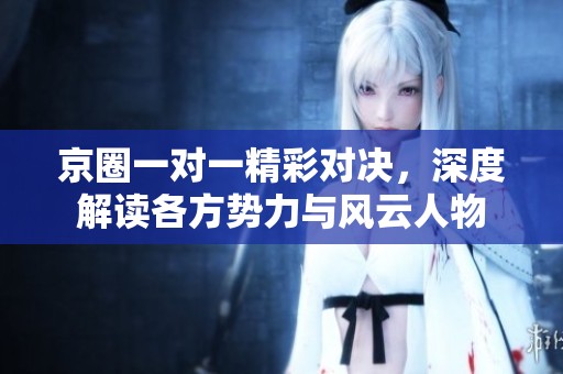 京圈一对一精彩对决，深度解读各方势力与风云人物