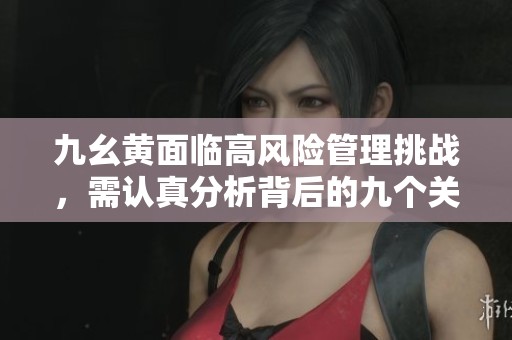 九幺黄面临高风险管理挑战，需认真分析背后的九个关键因素