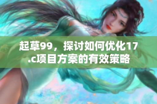 起草99，探讨如何优化17.c项目方案的有效策略